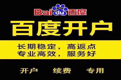 竞品分析在sem账户竞价运营中的应用案例